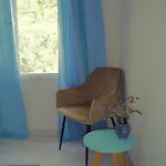 Casa de hóspedes Port Pet Friendly