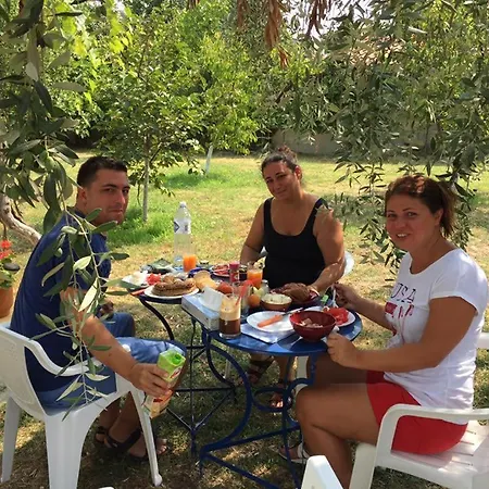 Port Pet Friendly Limenas (Thasos)