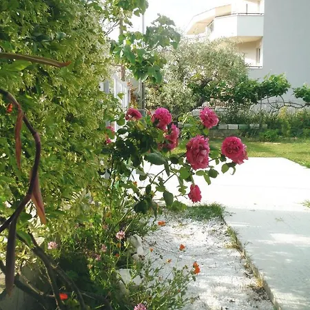 Pensión Port Pet Friendly 3*