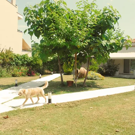 Pensión Port Pet Friendly 3*
