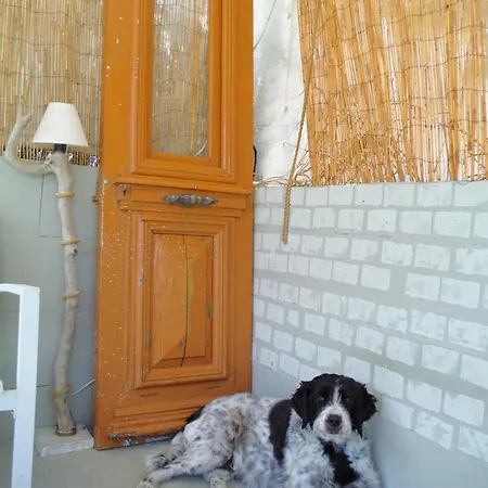 Port Pet Friendly Limenas (Thasos)