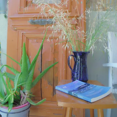 Port Pet Friendly 3* Limenas (Thasos)