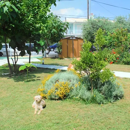 Pensión Port Pet Friendly