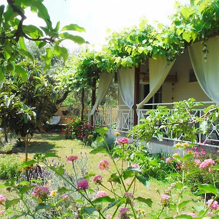 Port Pet Friendly 3*