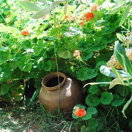 Port Pet Friendly Pensiune 3*