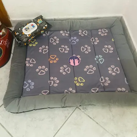 Port Pet Friendly Pensiune