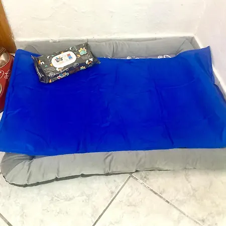 Port Pet Friendly Pensiune Limenas (Thasos)