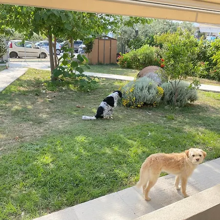 Maison d'hôtes Port Pet Friendly *