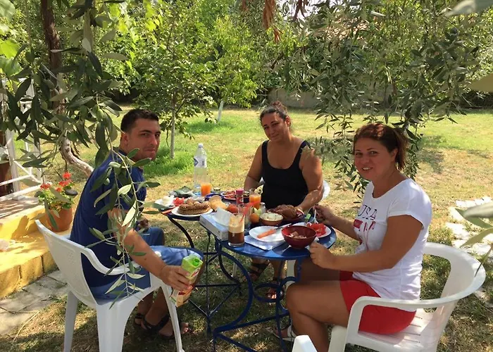 Port Pet Friendly Limenas (Thasos)