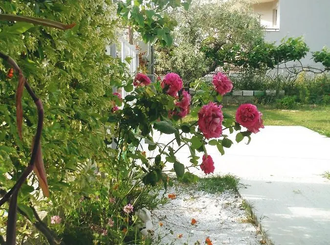 Pensiune Port Pet Friendly 3*