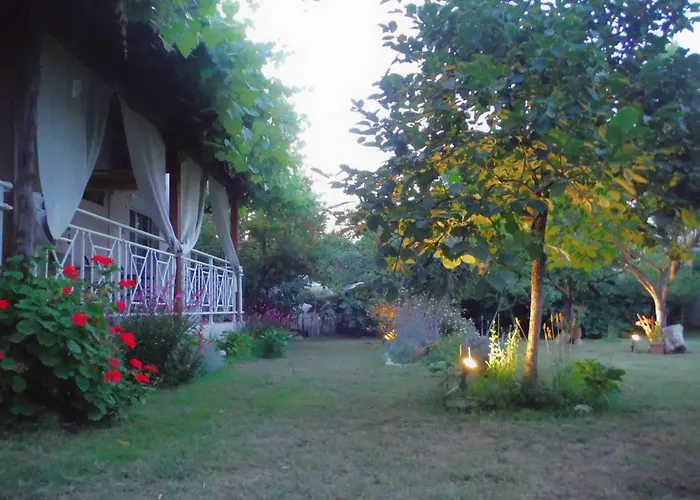 Pensiune Port Pet Friendly