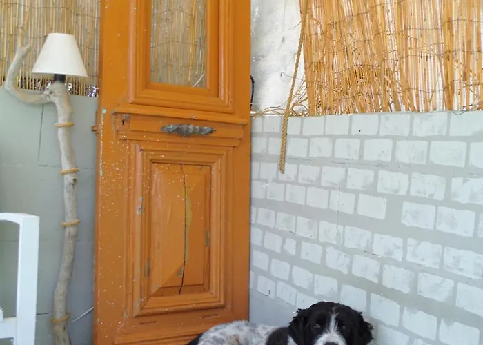 Port Pet Friendly Limenas (Thasos)