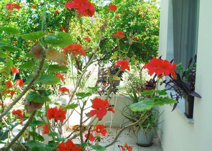 Pensiune Port Pet Friendly 3*