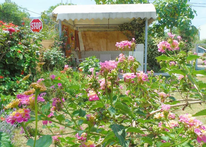 Port Pet Friendly Limenas (Thasos)