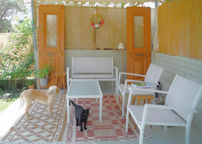Port Pet Friendly Pensiune Limenas (Thasos)