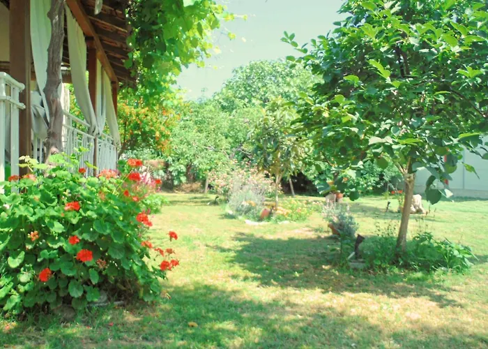 Port Pet Friendly 3*