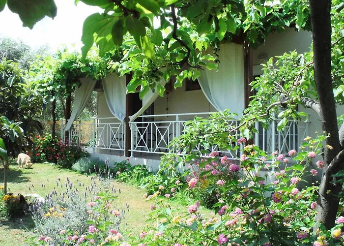 Port Pet Friendly Pensiune 3*