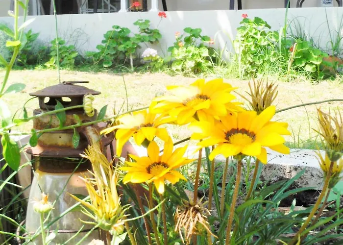 Pensiune Port Pet Friendly 3*