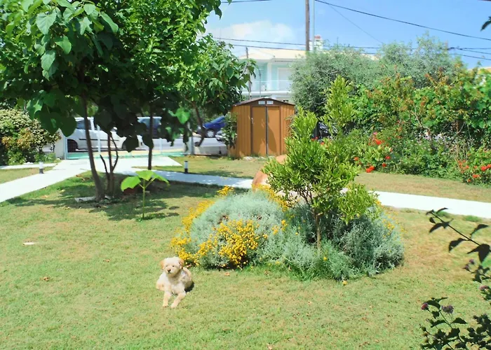 Pensiune Port Pet Friendly