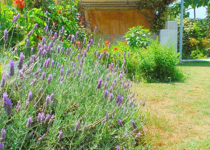 Pensiune Port Pet Friendly 3*