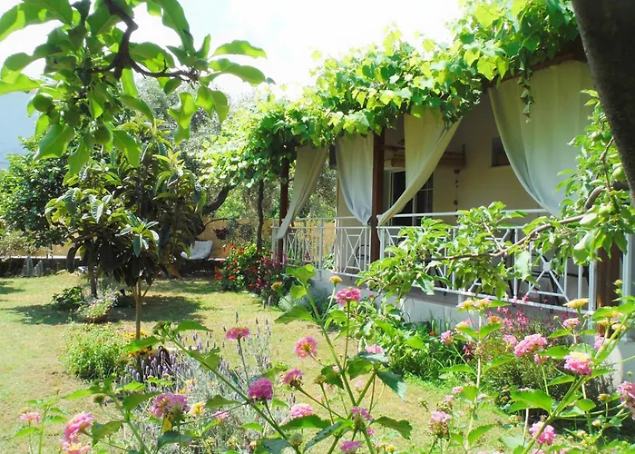 Port Pet Friendly 3*