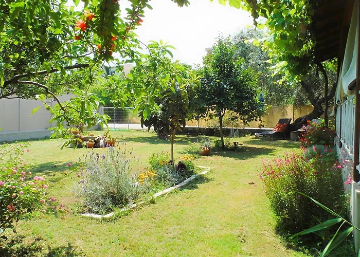 Pensiune Port Pet Friendly