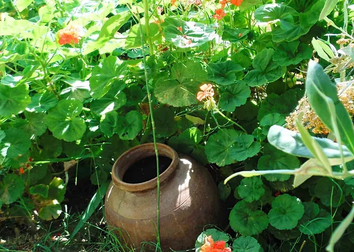 Port Pet Friendly Pensiune 3*