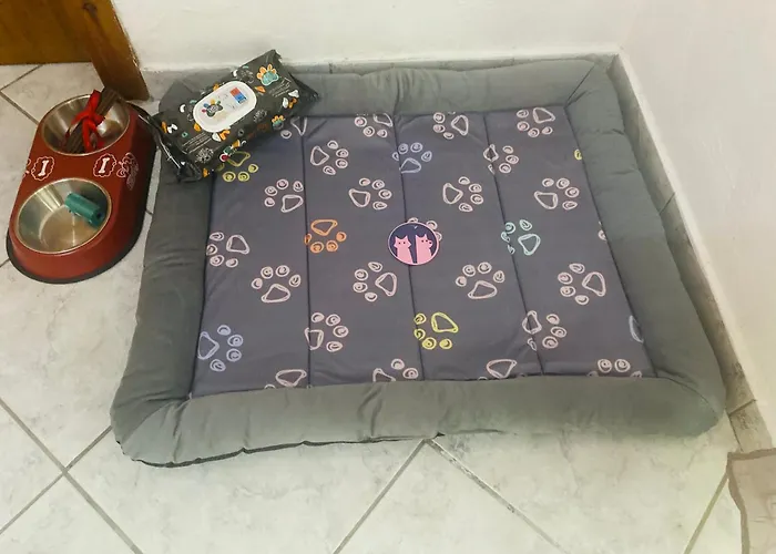 Port Pet Friendly 招待所