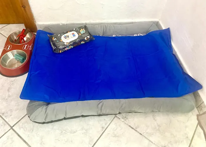 Port Pet Friendly Pensiune Limenas (Thasos)