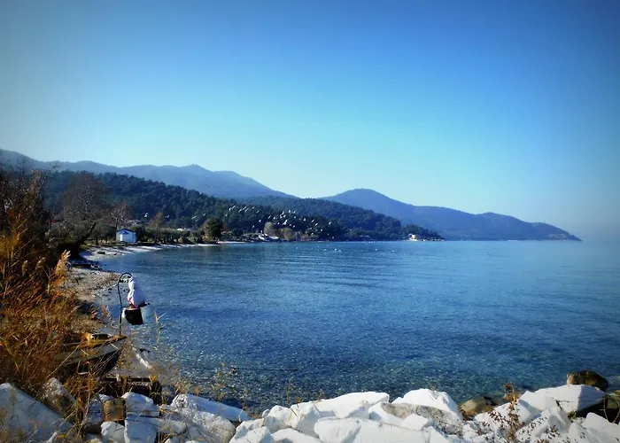 Port Pet Friendly 3*